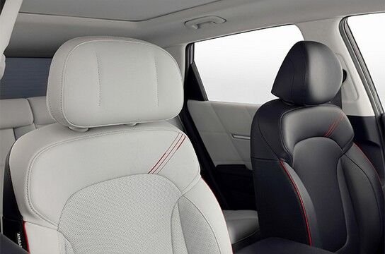 Регулируемый подголовник водительского кресла.